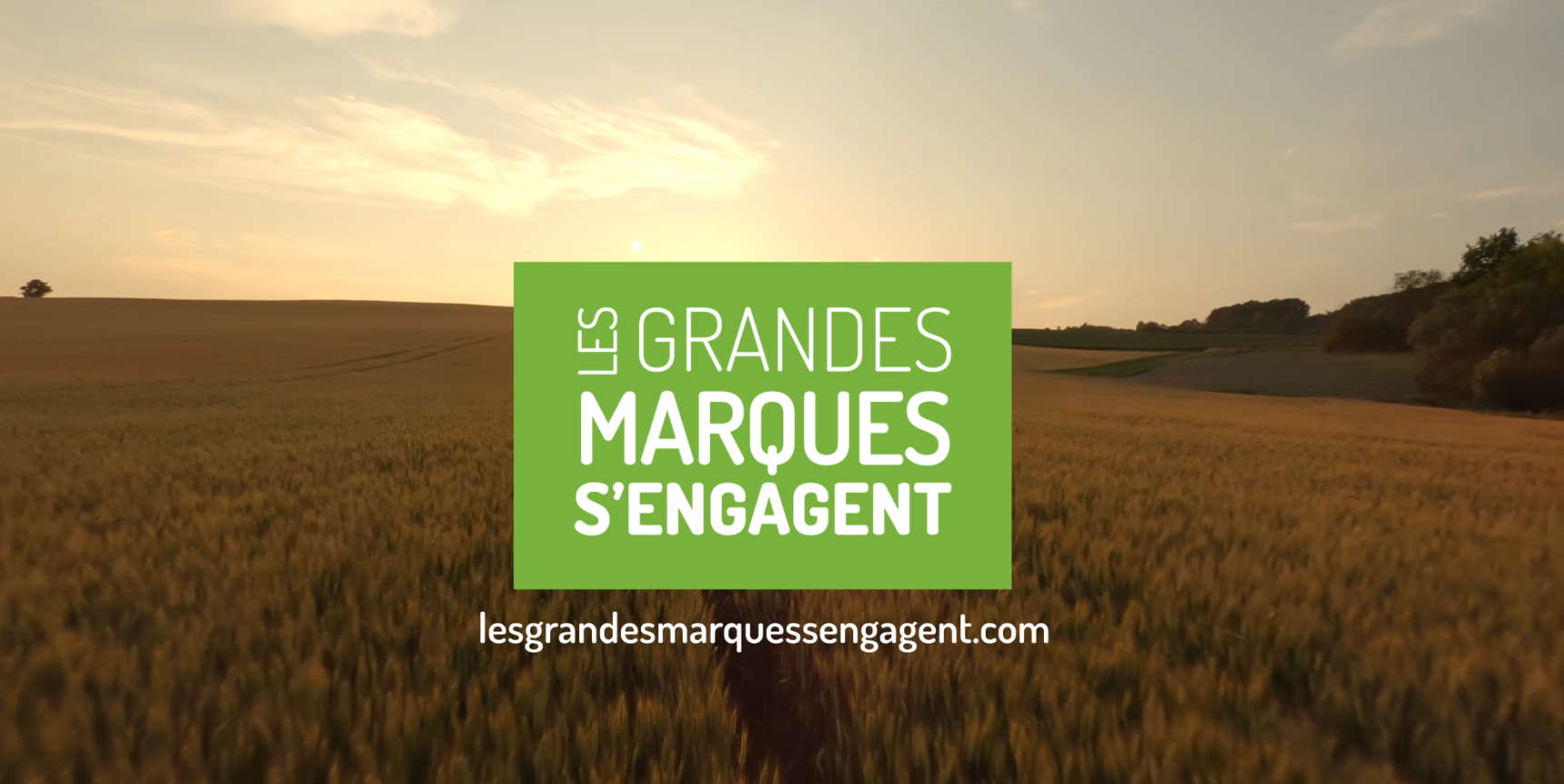 Les grandes marques s'engagent