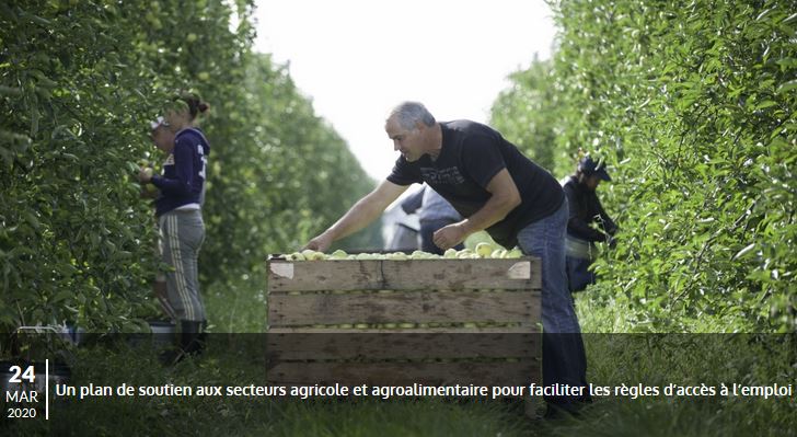 Urgence, bras pour l’agriculture