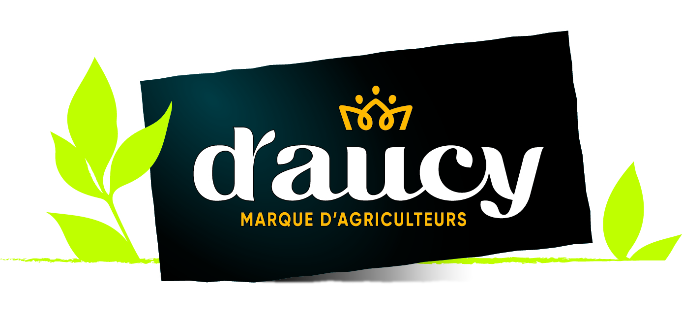 d’aucy