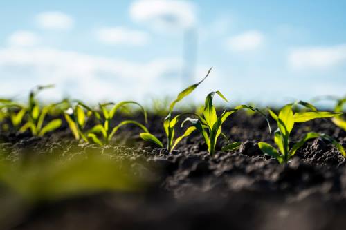 Bel, catalyseur de l’agriculture régénératrice