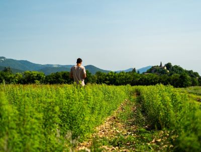 Pagès, l’infusion vertueuse