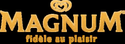 THE MAGNUM ICE CREAM COMPANY logo
